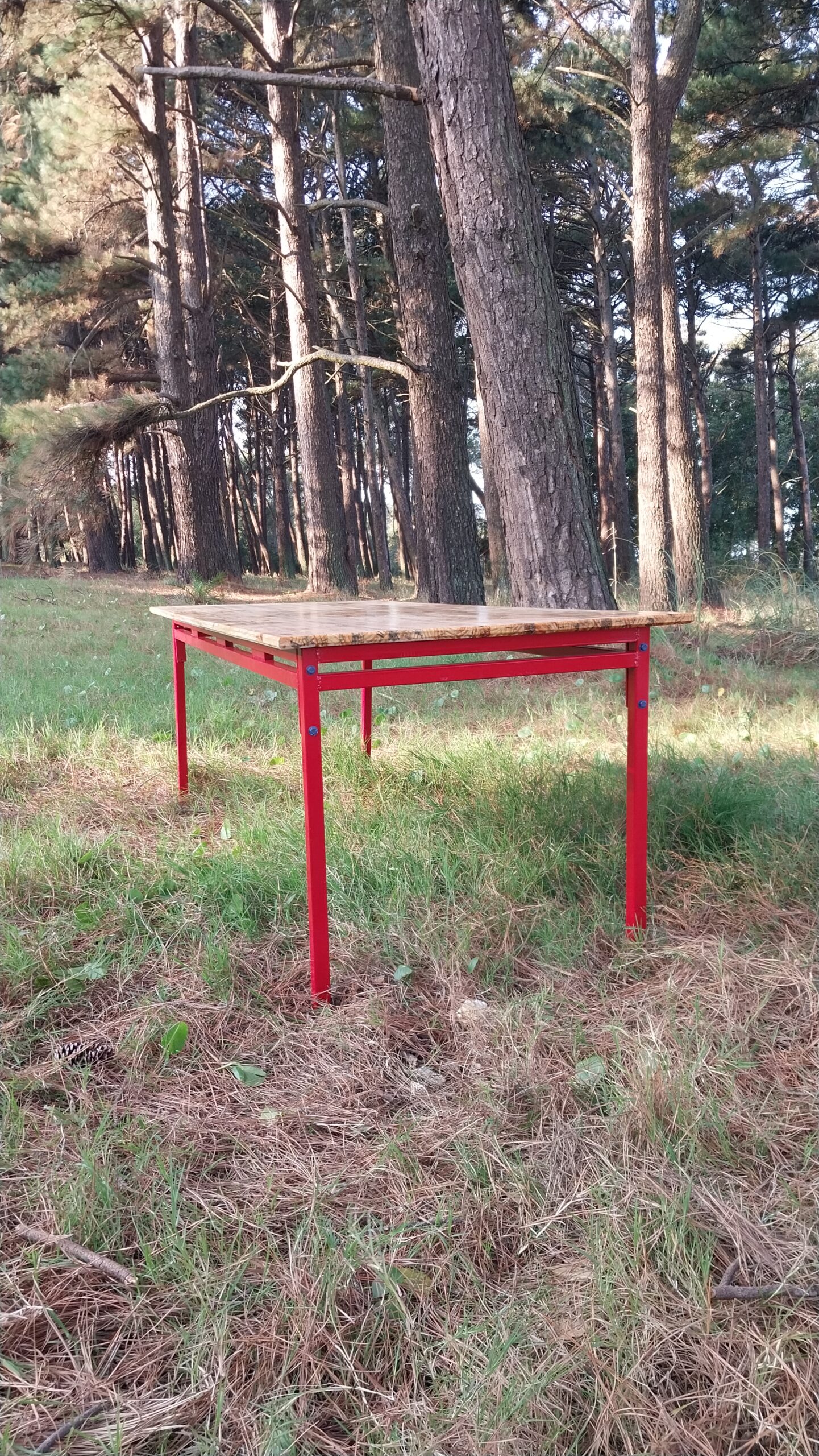 Mesa en hierro y madera. Estudio Gé, Montevideo, Ciudad de la costa